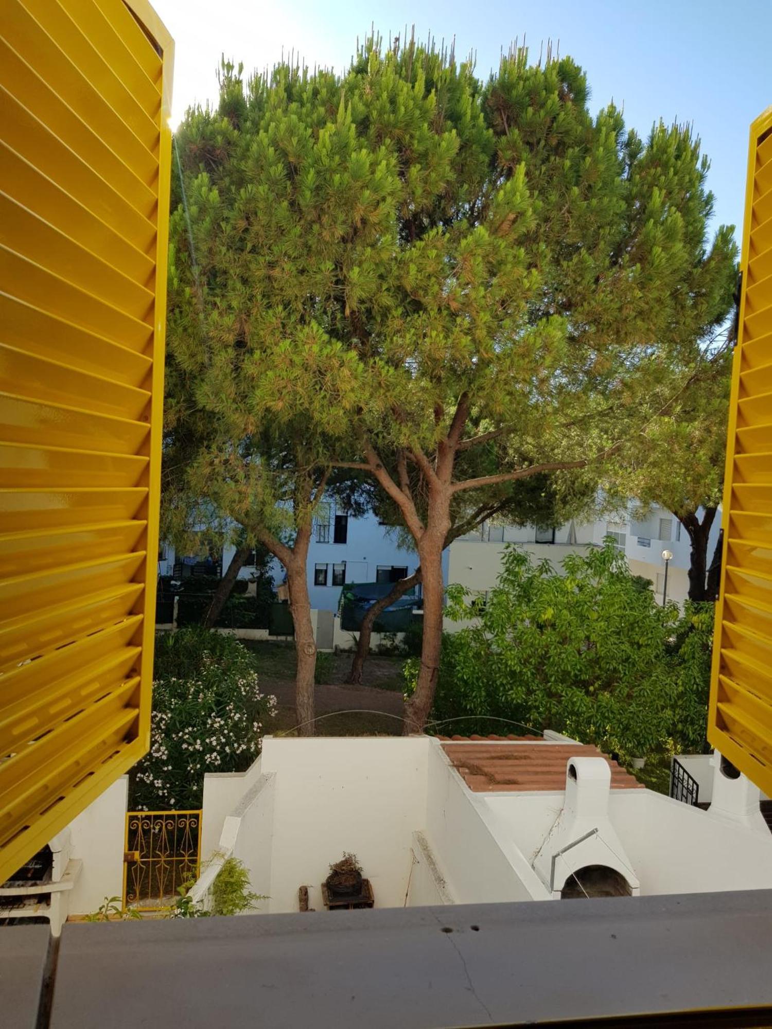 Gelbblau Falesia Albufeira Luaran gambar